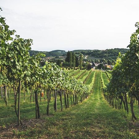Wein & Gaestehof Erlacher Hartmannsdorf Екстериор снимка