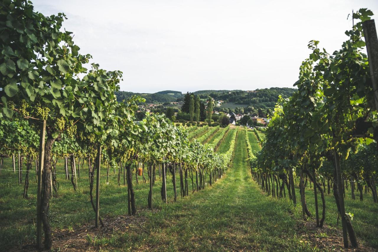 Wein & Gaestehof Erlacher Hartmannsdorf Екстериор снимка