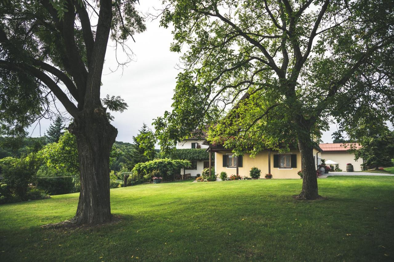 Wein & Gaestehof Erlacher Hartmannsdorf Екстериор снимка